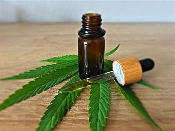 Cannabis medicinal, salud y delito Cannabis medicinal, salud y delito