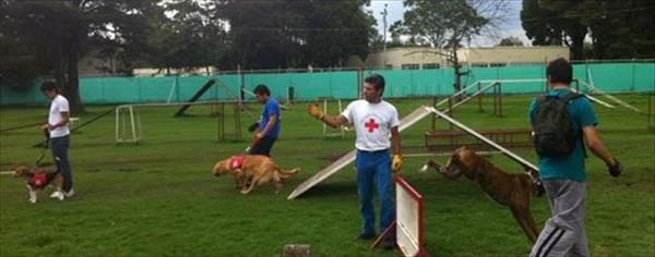 Crearán un centro de Salud Animal en un predio de la Policía Crearán un centro de Salud Animal en un predio de la Policía