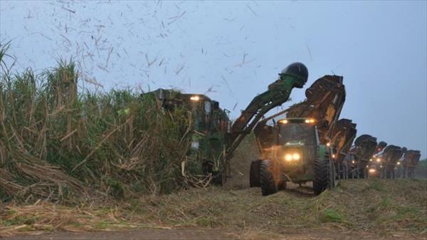 EL INGENIO LEDESMA PLANEA INVERSIONES POR $350 MILLONES, Y CIERRA EL AÑO CON UNA PRODUCCIÓN SUPERIOR AL 2015 EL INGENIO LEDESMA PLANEA INVERSIONES POR $350 MILLONES, Y CIERRA EL AÑO CON UNA PRODUCCIÓN SUPERIOR AL 2015