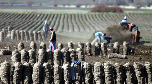 Minifundistas buscan llevar su producción del campo a los consumidores Minifundistas buscan llevar su producción del campo a los consumidores