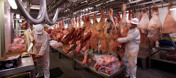 LA PRODUCCIÓN MUNDIAL DE CARNE VACUNA SERÁ RÉCORD EN 2017 LA PRODUCCIÓN MUNDIAL DE CARNE VACUNA SERÁ RÉCORD EN 2017