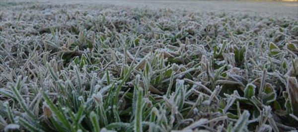 ASEGURAN QUE EL OTOÑO INVIERNO 2016 ESTÁ ENTRE LOS MÁS FRÍOS DE LOS ÚLTIMOS 55 AÑOS ASEGURAN QUE EL OTOÑO INVIERNO 2016 ESTÁ ENTRE LOS MÁS FRÍOS DE LOS ÚLTIMOS 55 AÑOS