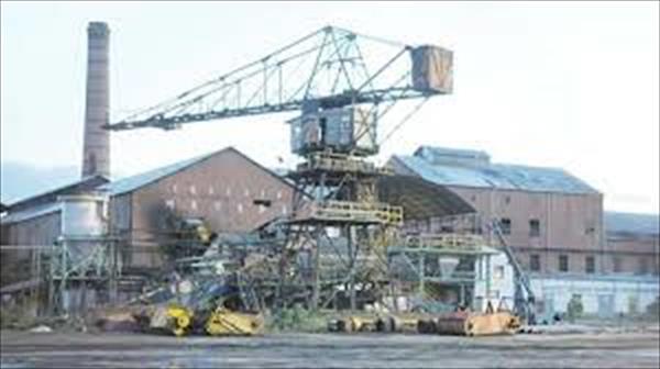 El Marapa espera producir más de 60 mil toneladas este año El Marapa espera producir más de 60 mil toneladas este año